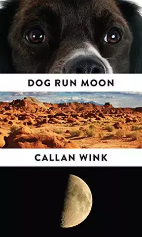 Dog Run Moon: Stories - Callan Wink