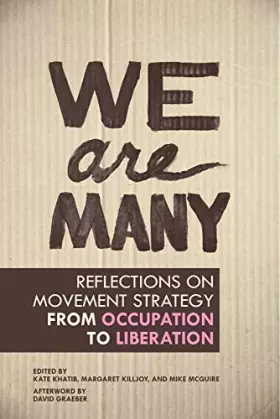 Couverture du produit · We Are Many: Reflections on Movement Strategy from Occupation to Liberation