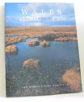Couverture du produit · Wales: The First Place