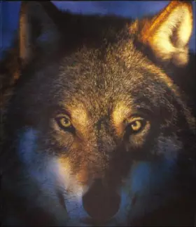 Couverture du produit · Entre Chien et Loup