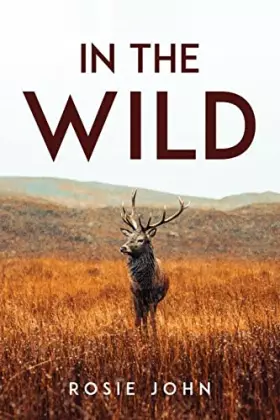 Couverture du produit · Into the Wild