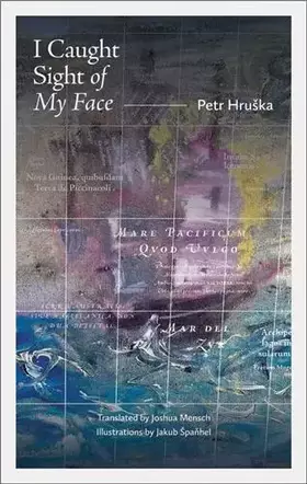 Couverture du produit · I Caught Sight of My Face