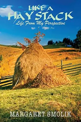 Couverture du produit · Like a Haystack: Life from my Perspective