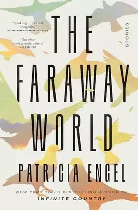 Couverture du produit · The Faraway World: Stories