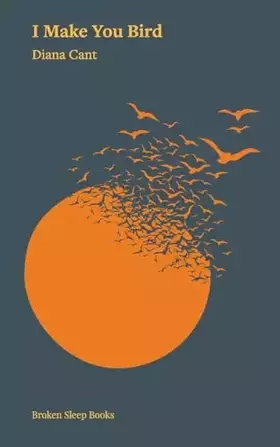 Couverture du produit · I Make You Bird