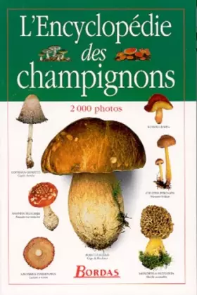 Couverture du produit · L'encyclopédie des champignons