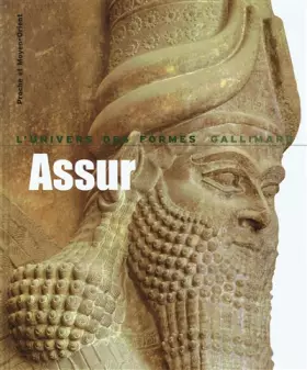 Couverture du produit · Proche et Moyen-Orient : Assur