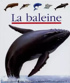 Couverture du produit · La baleine