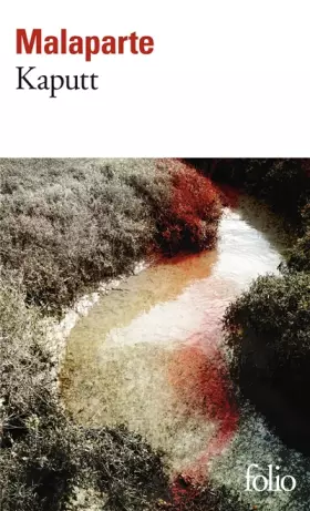 Couverture du produit · Kaputt