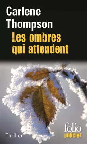 Couverture du produit · Les ombres qui attendent