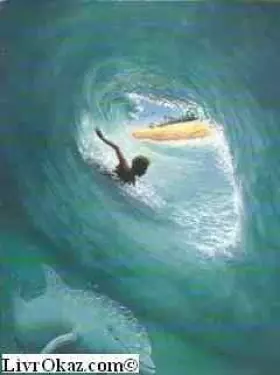 Couverture du produit · L'homme des vagues