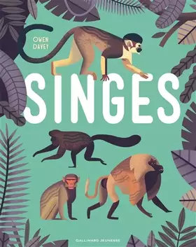 Couverture du produit · Singes - Album documentaire - De 6 à 9 ans