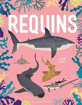 Couverture du produit · Requins - Album documentaire - De 6 à 9 ans