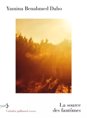 Couverture du produit · La source des fantômes