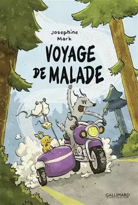 Couverture du produit · Voyage de malade