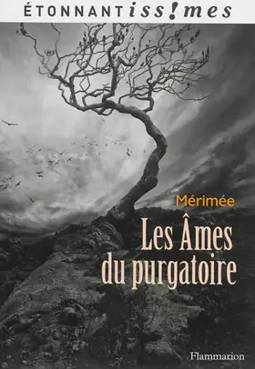 Couverture du produit · Les Âmes du purgatoire