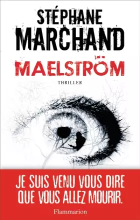 Couverture du produit · Maelstrom