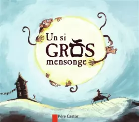 Couverture du produit · Un si gros mensonge
