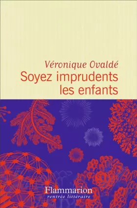 Couverture du produit · Soyez imprudents les enfants