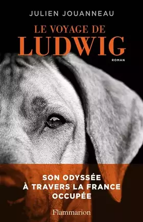 Couverture du produit · Le voyage de Ludwig