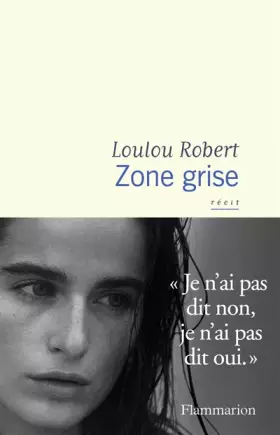 Couverture du produit · Zone grise