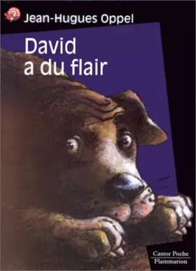 Couverture du produit · David a du flair