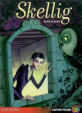 Couverture du produit · Skellig