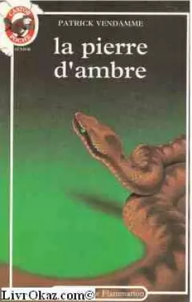 Couverture du produit · La pierre d'ambre