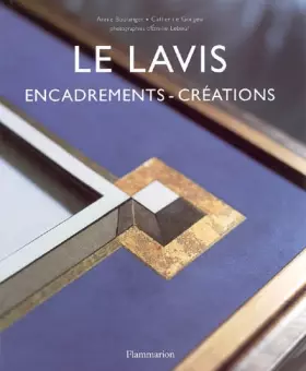 Couverture du produit · Le lavis : Encadrements - créations