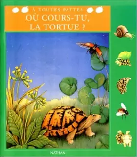 Couverture du produit · Où cours-tu, la tortue !