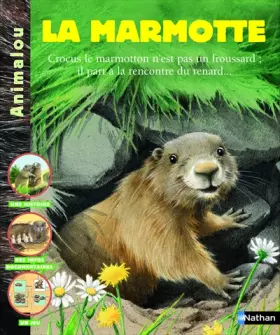 Couverture du produit · MARMOTTE NE