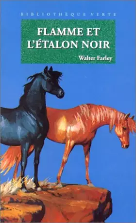 Couverture du produit · Flamme et l'étalon noir