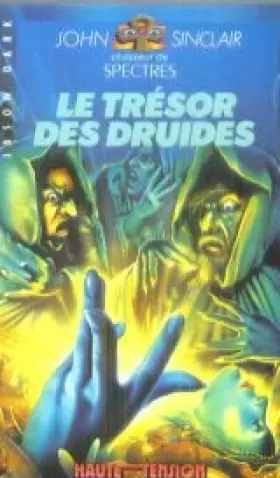 Couverture du produit · Le Trésor des druides