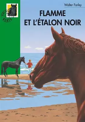 Couverture du produit · Flamme et l'étalon noir