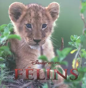 Couverture du produit · Félins, MONDE ENCHANTE