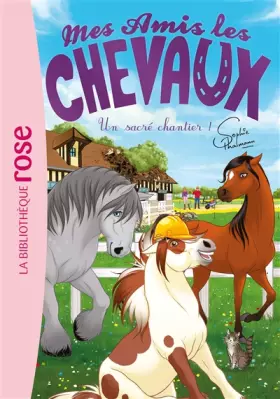 Couverture du produit · Mes amis les chevaux 31 - Un sacré chantier !