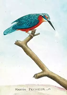 Couverture du produit · Carnet ligné Martin pêcheur, dessin 18e siècle
