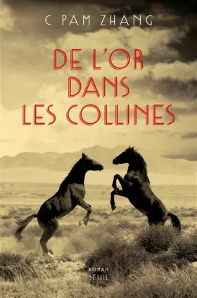 Couverture du produit · De l'or dans les collines
