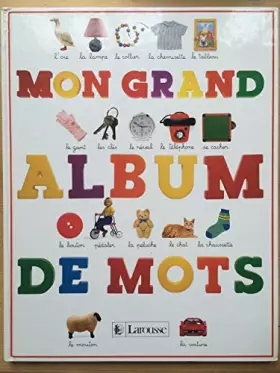 Couverture du produit · MON GRAND ALBUM DE MOTS