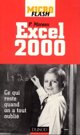 Couverture du produit · Micro flash - Excel 2000