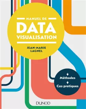 Couverture du produit · Manuel de datavisualisation - Méthodes - Cas pratiques: Méthodes - Cas pratiques