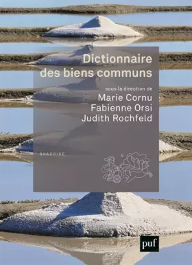Couverture du produit · Dictionnaire des biens communs