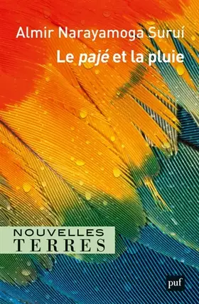 Couverture du produit · Le pajé et la pluie