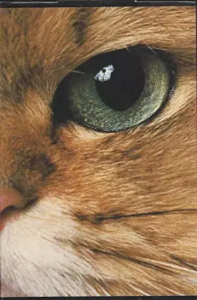 Couverture du produit · Histoires de chats