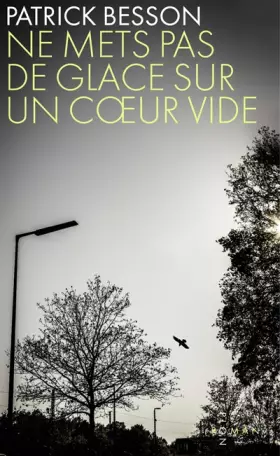 Couverture du produit · Ne mets pas de glace sur un cœur vide
