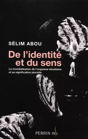 Couverture du produit · DE L'IDENTITE ET DU SENS