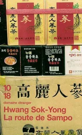 Couverture du produit · La route de Sampo