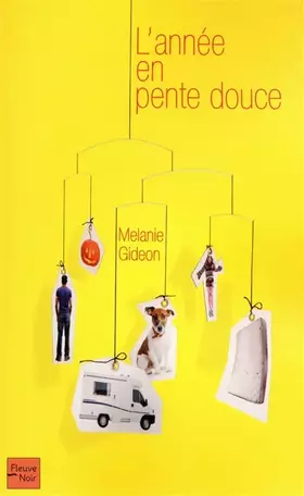 Couverture du produit · L'année en pente douce