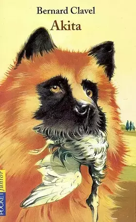 Couverture du produit · AKITA