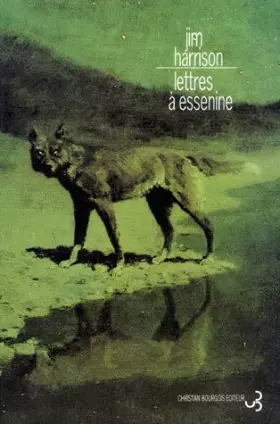 Couverture du produit · Lettres à Essenine